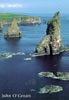 Duncansby stacks, summer