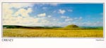 Maeshowe and barley field