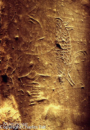 n185. maeshowe dragon