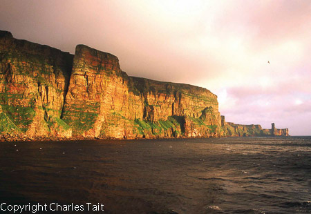 n274 st john's head