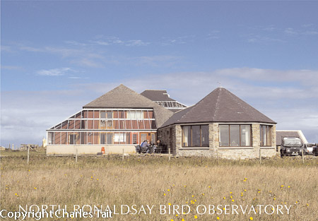 n359.  north ronaldsay bird obs 