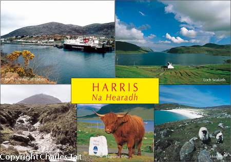 w041.  harris composite