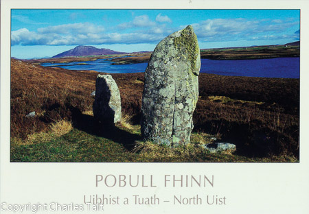 w081.  pobull fhinn