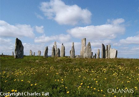 w107. callanish flowers