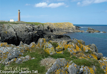 w110.  butt of lewis