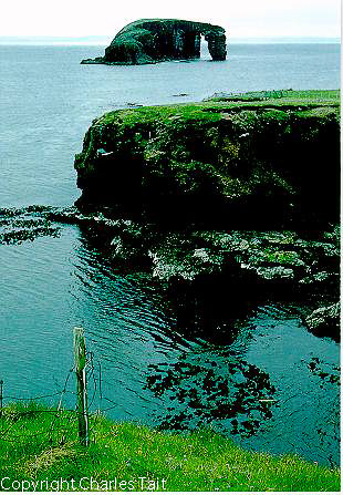 s020.  dore holm