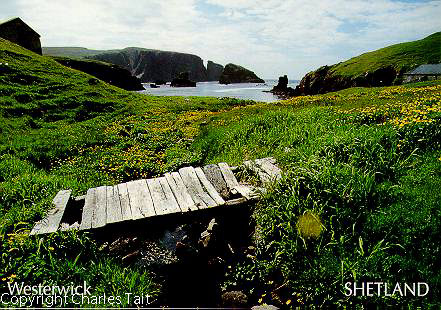 s046.  westerwick
