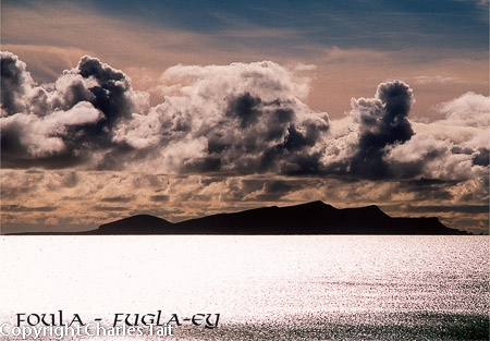 s076.  foula from walls