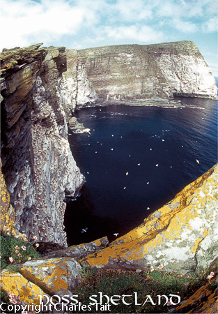 s086.  noup of noss