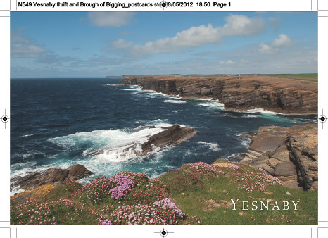 n549_yesnaby_thrift_brough_of_bigging