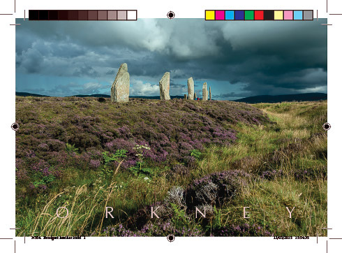 n564._brodgar_heather