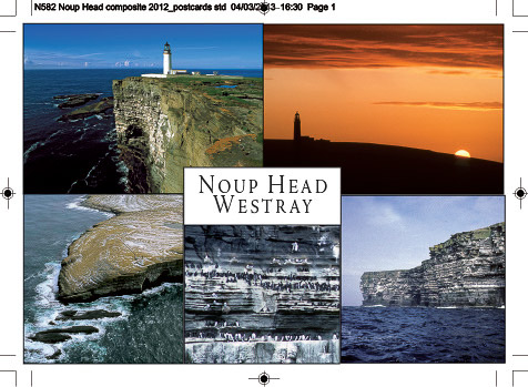 n582_noup_head_composite