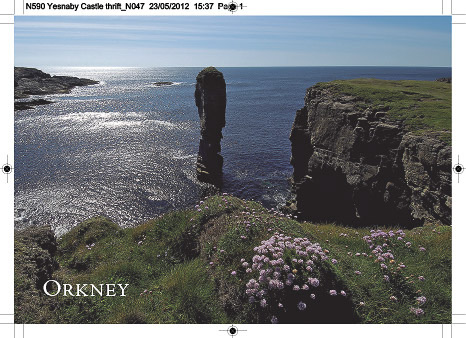 n590_yesnaby_castle_thrift
